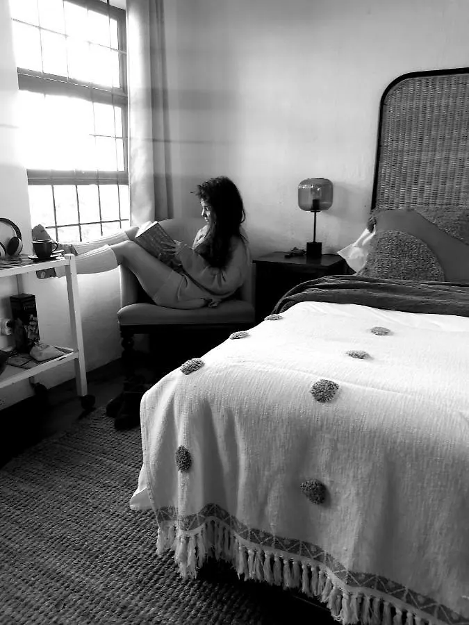 Guest house Harbour Delight & Harbour Comfort Cape Town